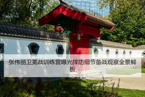 张伟丽卫冕战训练营曝光摔防细节备战观察全景解析
